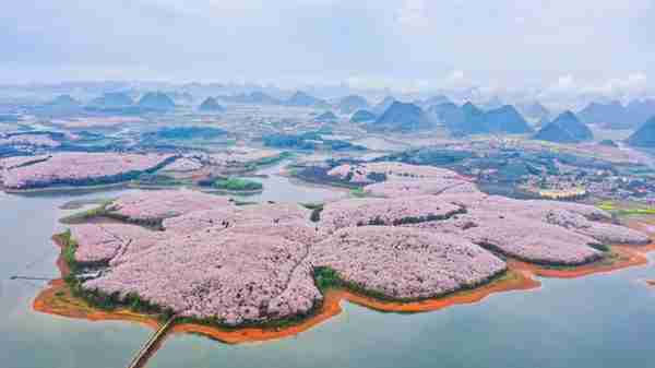 高原观“海”满眼春——从生态产业看贵州高质量发展