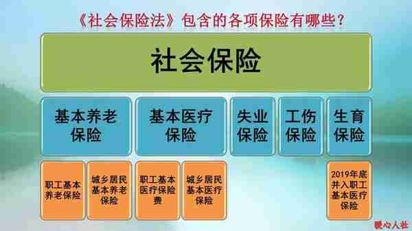 社保缴费基数下限达到6520元，单位和职工缴费分别多少？待遇呢？