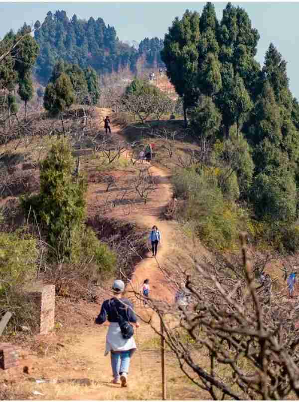 成都周边7个徒步地，0元开启“吸氧”森系之行