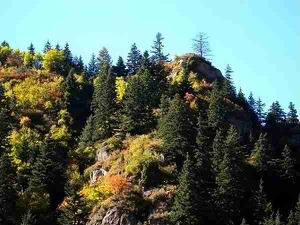 康养山西 夏养山西|山西这十个避暑胜地,可居可玩,景美还适合康养