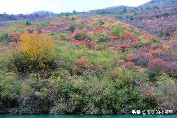 游长江三峡（四天三晚分享）